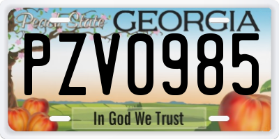 GA license plate PZV0985