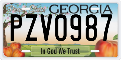 GA license plate PZV0987