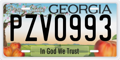 GA license plate PZV0993