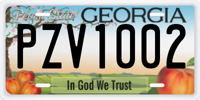 GA license plate PZV1002