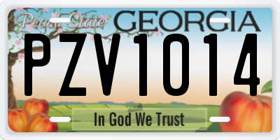GA license plate PZV1014