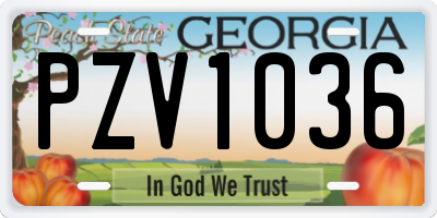 GA license plate PZV1036