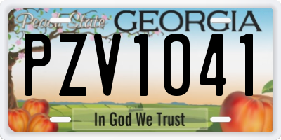 GA license plate PZV1041