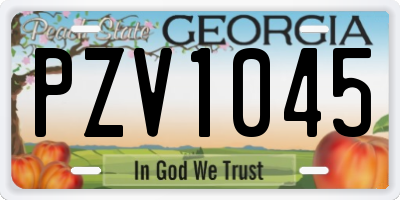 GA license plate PZV1045