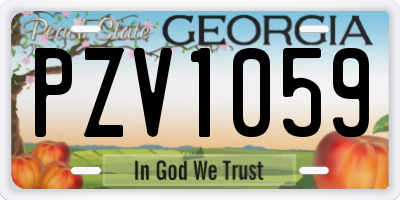 GA license plate PZV1059