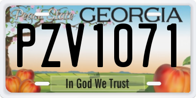 GA license plate PZV1071