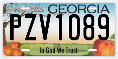 GA license plate PZV1089