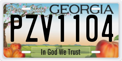 GA license plate PZV1104