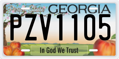 GA license plate PZV1105