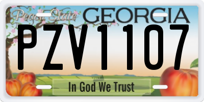 GA license plate PZV1107