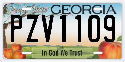 GA license plate PZV1109