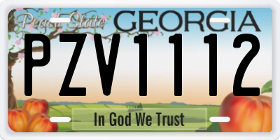 GA license plate PZV1112