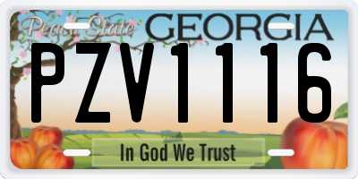 GA license plate PZV1116