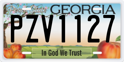 GA license plate PZV1127
