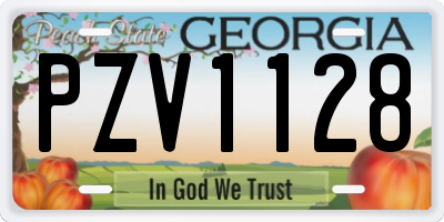 GA license plate PZV1128