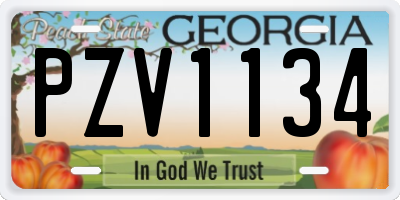 GA license plate PZV1134