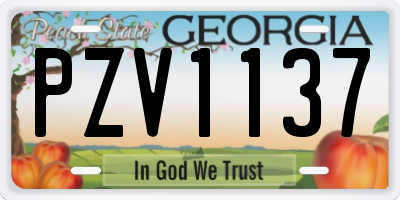 GA license plate PZV1137