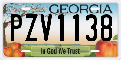 GA license plate PZV1138