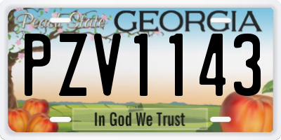 GA license plate PZV1143