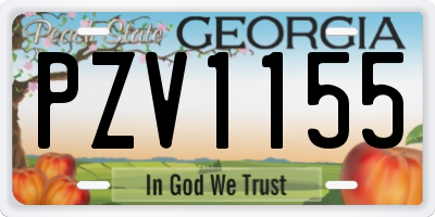 GA license plate PZV1155