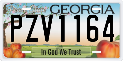 GA license plate PZV1164