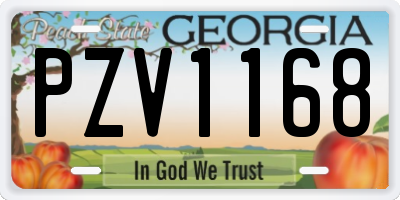 GA license plate PZV1168