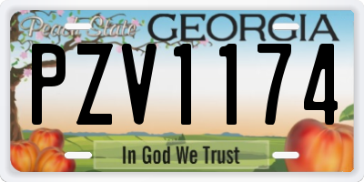 GA license plate PZV1174