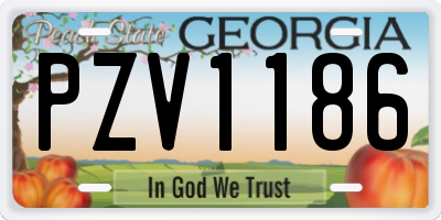 GA license plate PZV1186