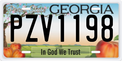 GA license plate PZV1198