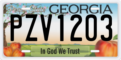 GA license plate PZV1203