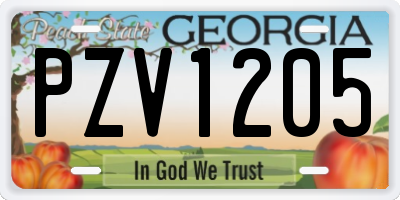 GA license plate PZV1205