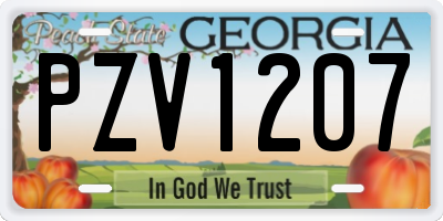 GA license plate PZV1207