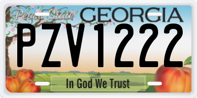 GA license plate PZV1222