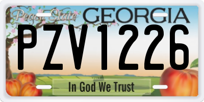 GA license plate PZV1226