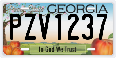 GA license plate PZV1237