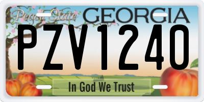 GA license plate PZV1240