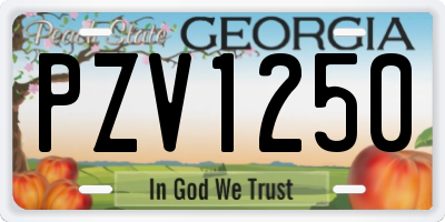 GA license plate PZV1250
