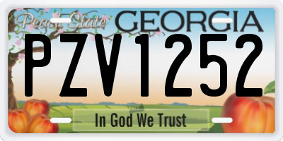 GA license plate PZV1252