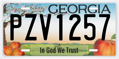 GA license plate PZV1257