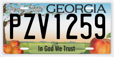GA license plate PZV1259