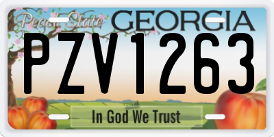 GA license plate PZV1263