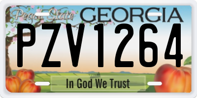 GA license plate PZV1264