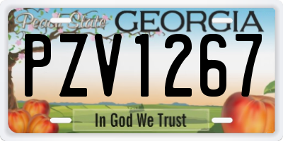 GA license plate PZV1267