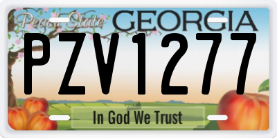 GA license plate PZV1277