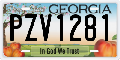 GA license plate PZV1281