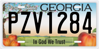 GA license plate PZV1284