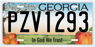 GA license plate PZV1293