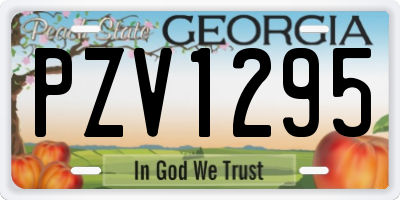 GA license plate PZV1295