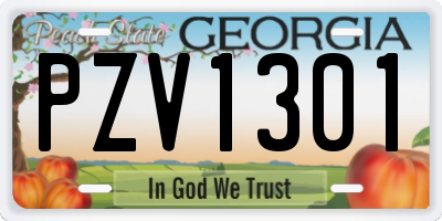 GA license plate PZV1301