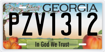GA license plate PZV1312